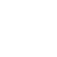 Brain Icon